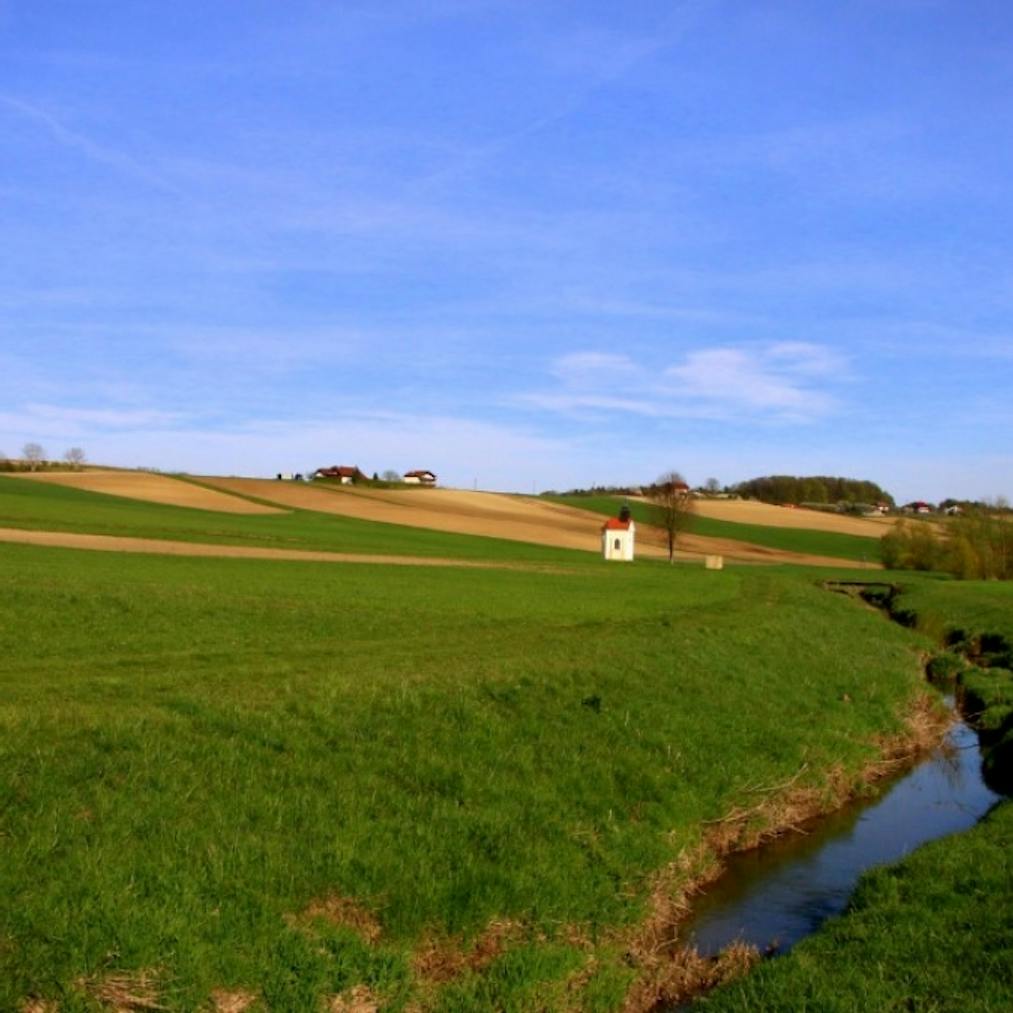 Globovnica Stream